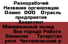 Разнорабочий › Название организации ­ Олимп, ООО › Отрасль предприятия ­ Ассистент › Минимальный оклад ­ 25 000 - Все города Работа » Вакансии   . Татарстан респ.,Чистопольский р-н